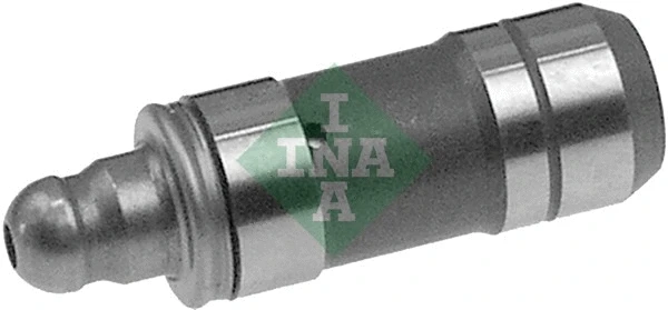 INA 420019910