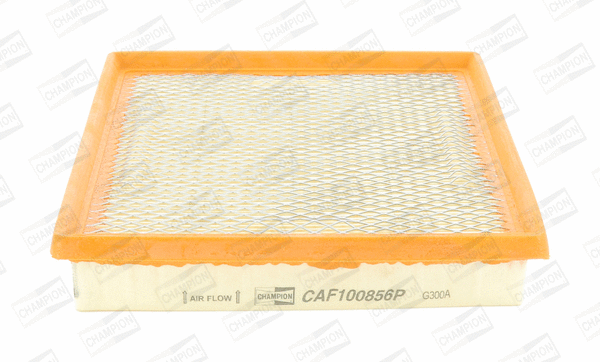 CHAMPION CAF100856P