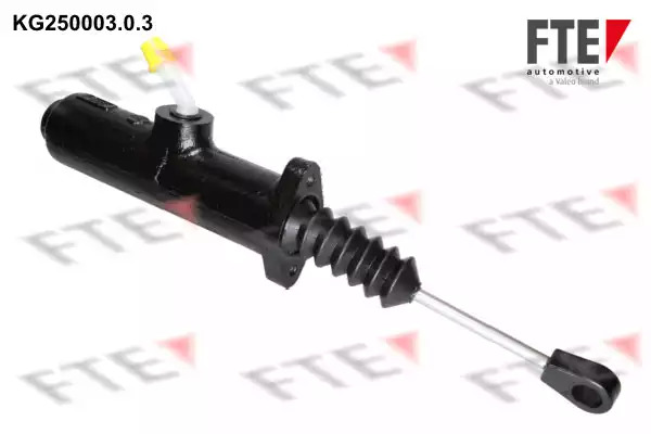 FTE KG25000303