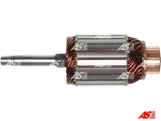AS-PL SA3011