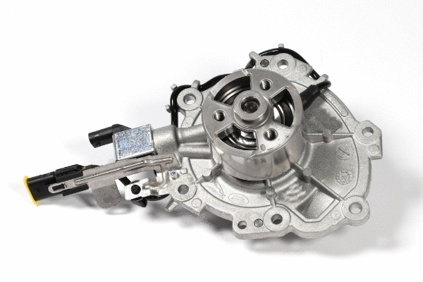 HEPU P2681