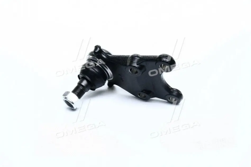 CTR CBIS19