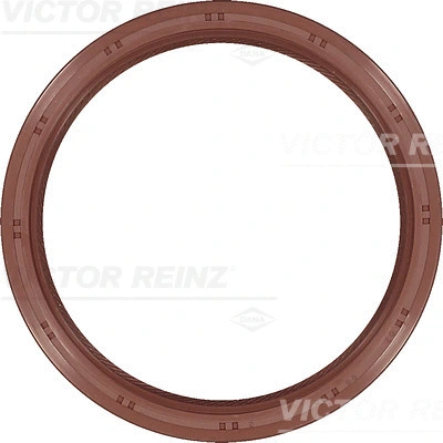 VICTOR REINZ 811038100
