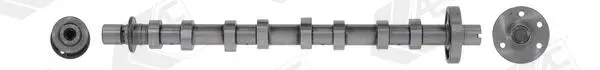 AE CAM980