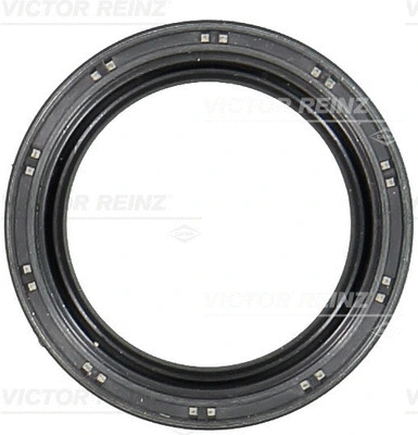 VICTOR REINZ 811045800