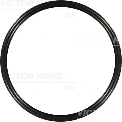 VICTOR REINZ 407613100