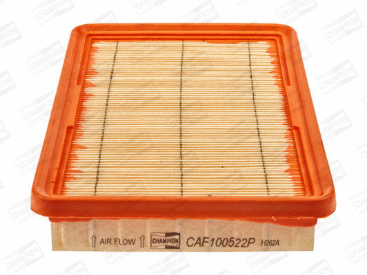 CHAMPION CAF100522P