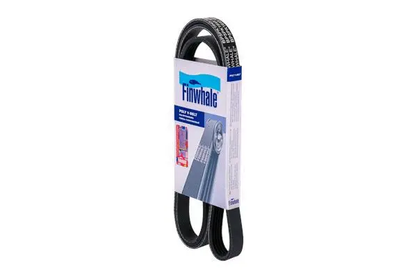FINWHALE BP5PK1645