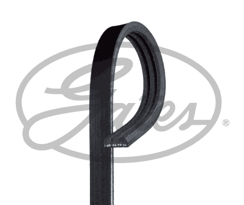 GATES 3PK648