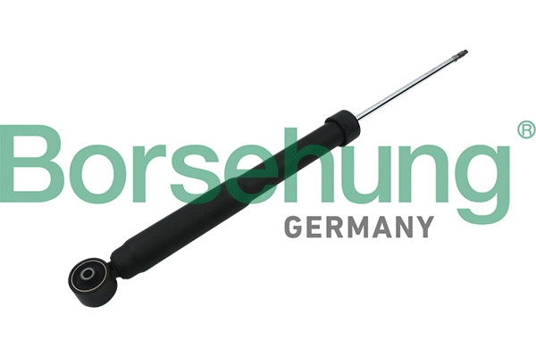 BORSEHUNG B17895