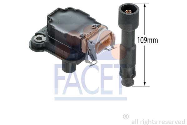 FACET 96254