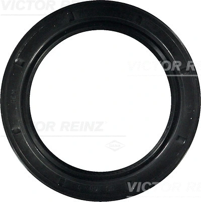 VICTOR REINZ 815342600