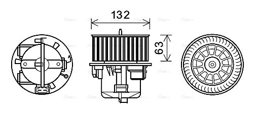 AVA VO8179