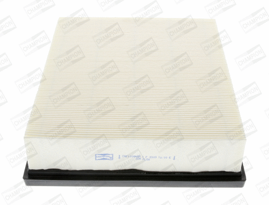 CHAMPION CAF100866P