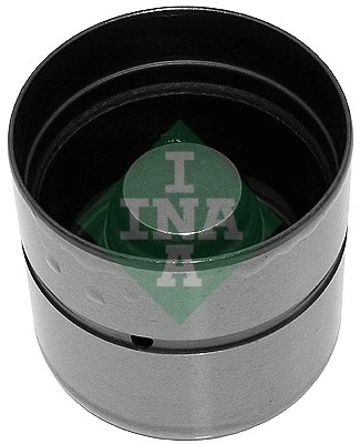 INA 420007310