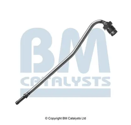 BM CATALYSTS PP31021A