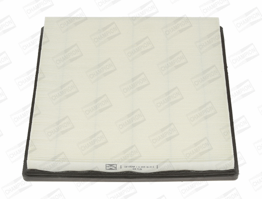 CHAMPION CAF100599P