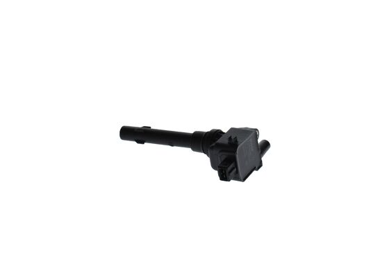 BOSCH F01R00A062