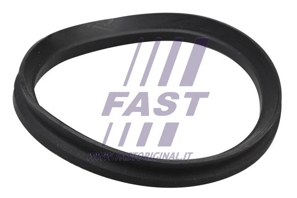 FAST FT12192