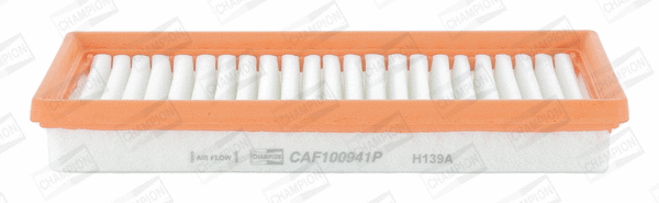 CHAMPION CAF100941P