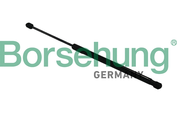 BORSEHUNG B19169