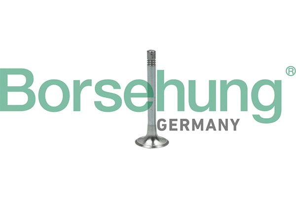 BORSEHUNG B18999
