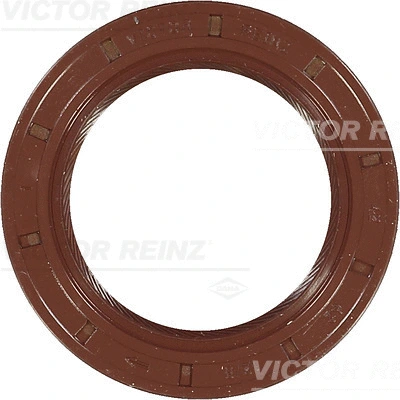 VICTOR REINZ 811600410