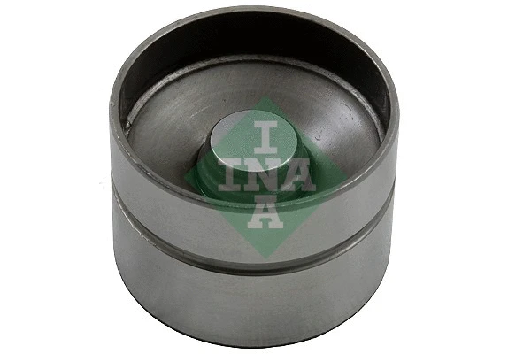 INA 420004010