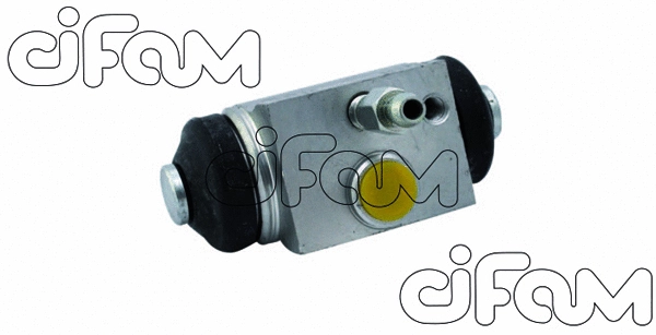 CIFAM 101745