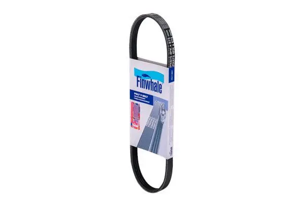 FINWHALE BP4PK675