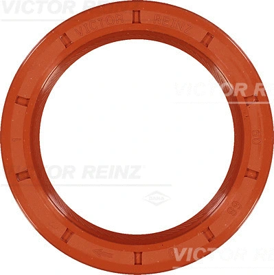 VICTOR REINZ 811673710
