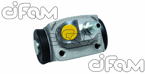 CIFAM 101819