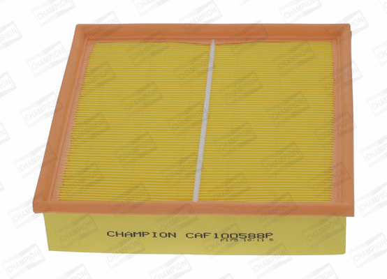 CHAMPION CAF100588P