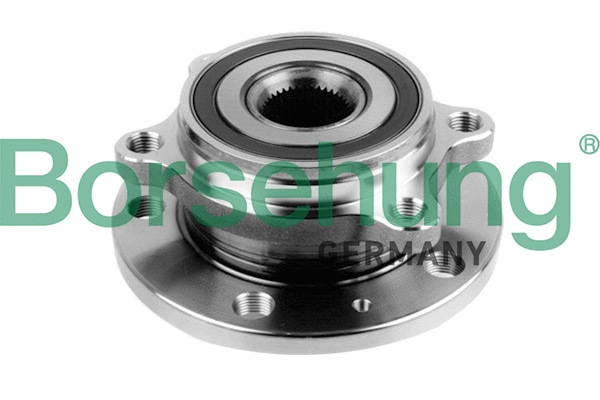 BORSEHUNG B15625