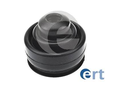ERT 500081