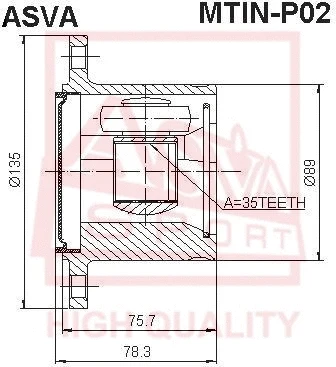 ASVA MTINP02