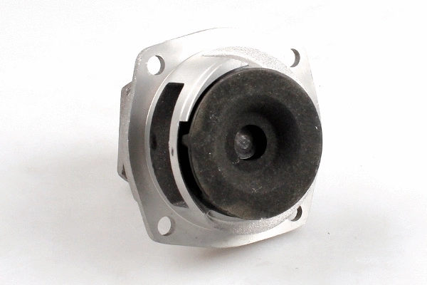 HEPU P022