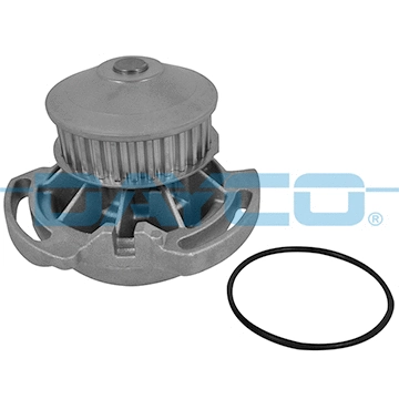 DAYCO DP165