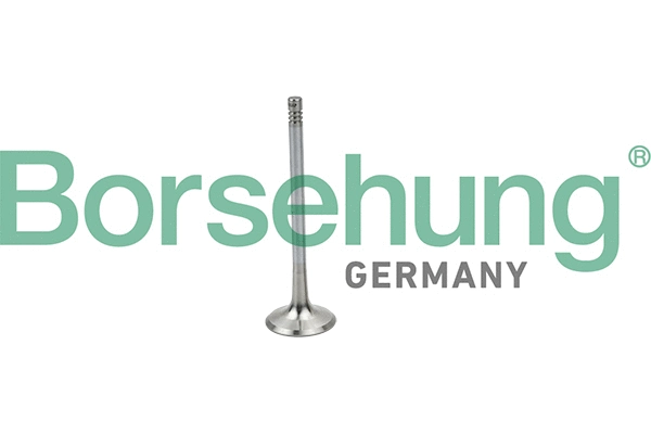 BORSEHUNG B19025
