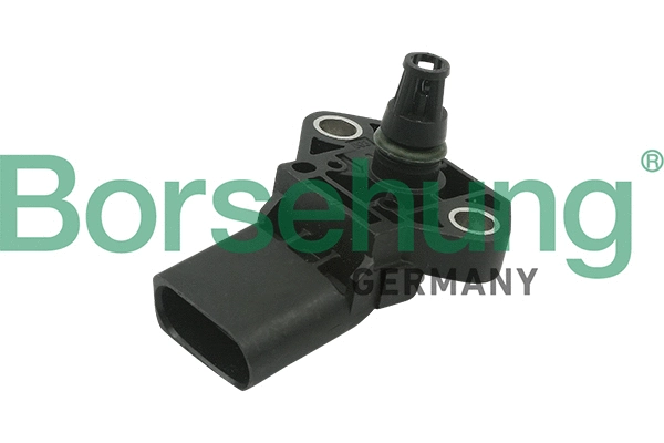 BORSEHUNG B13675