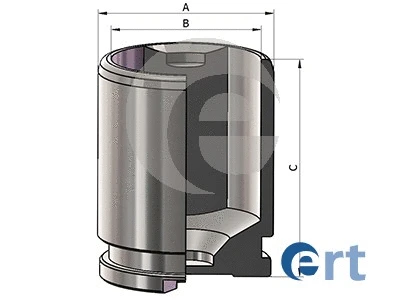 ERT 151175C