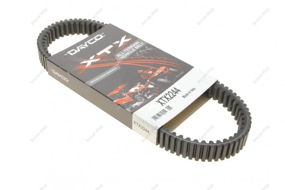 DAYCO XTX2244