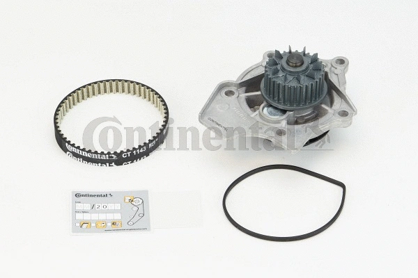 CONTITECH CT1143WP1