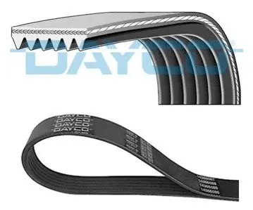 DAYCO 6PK1515HD