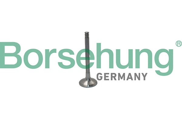 BORSEHUNG B19012