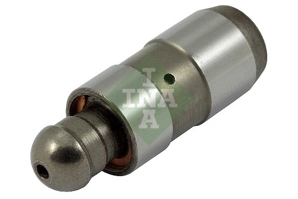 INA 420024310