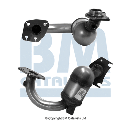 BM CATALYSTS BM91973H