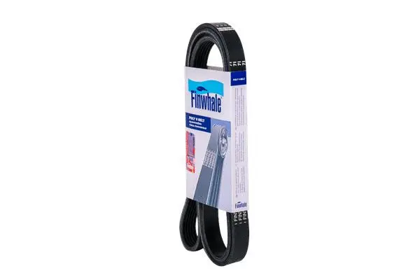 FINWHALE BP6PK1708