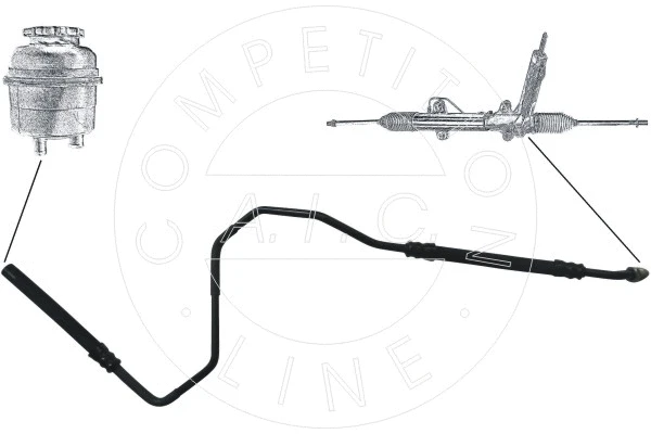 AIC 54955