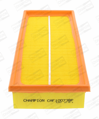 CHAMPION CAF100738P